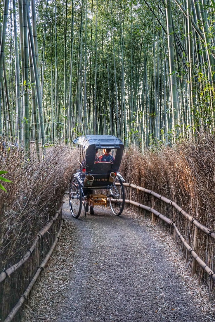 Arashiyama Rickshaw in Bamboo Grove