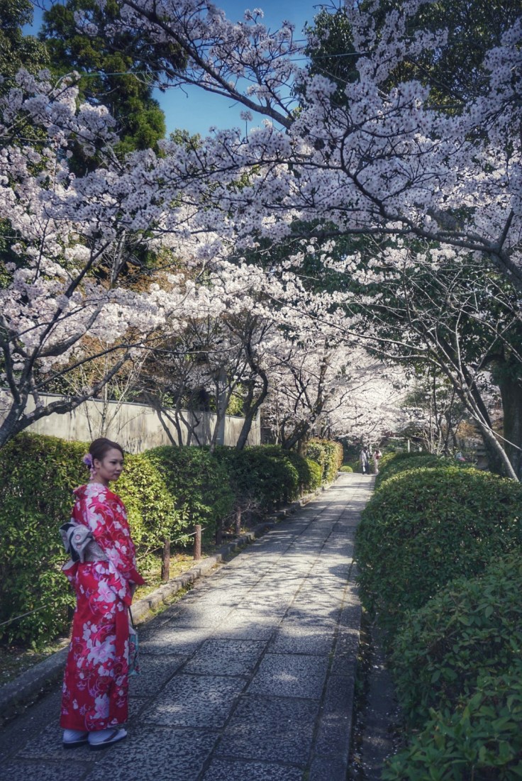 Geisha Tourist in Kyoto