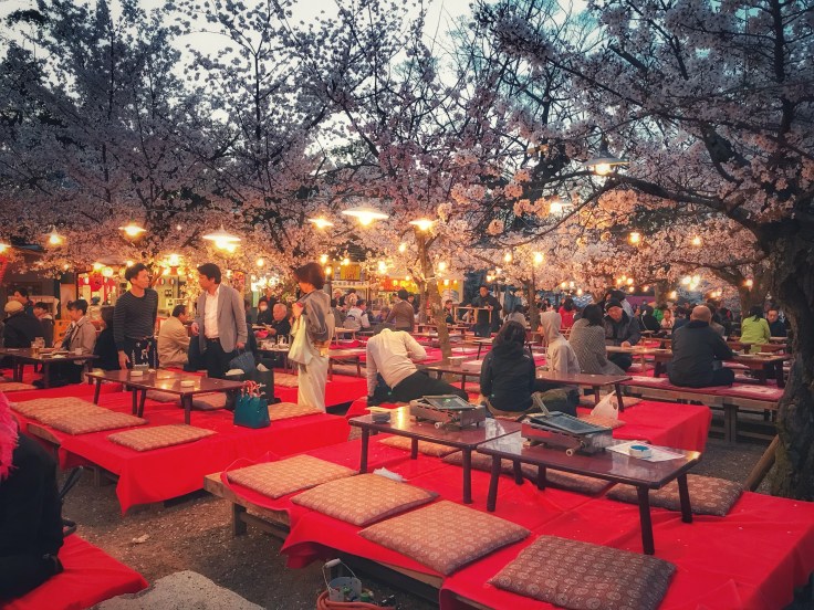 Hanami Maruyama Park