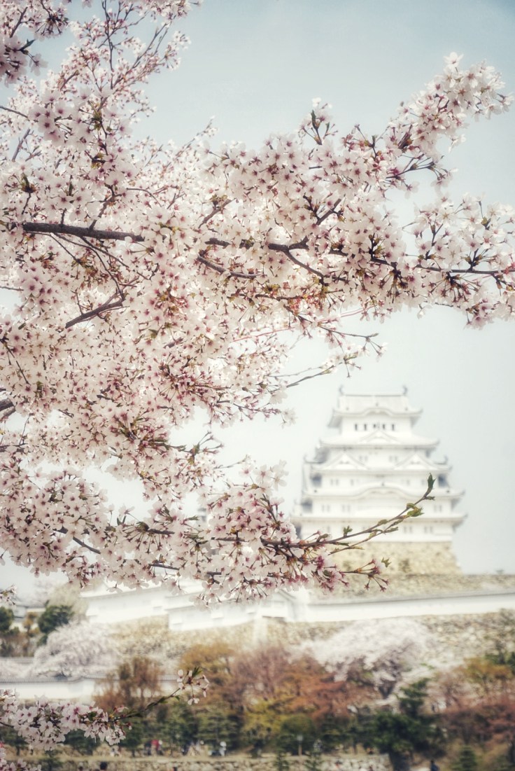 Himeji Castle 2