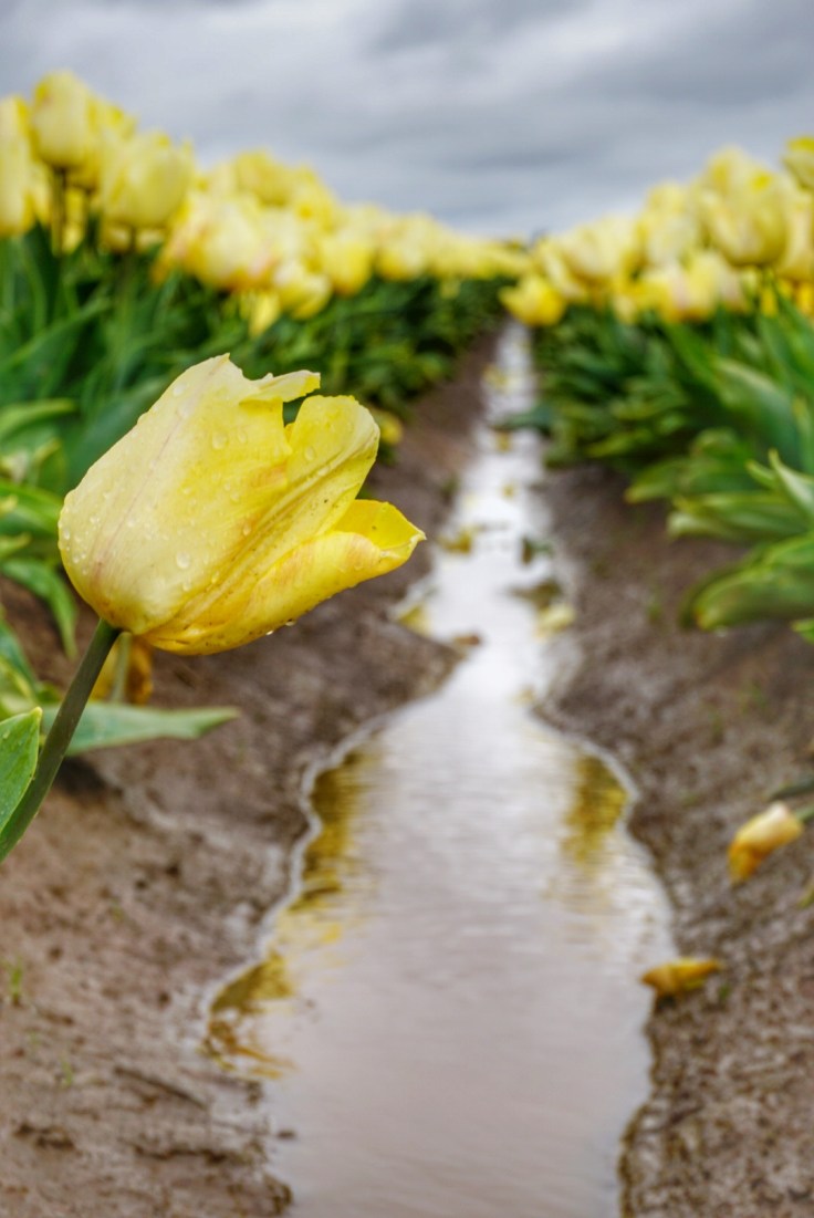 Snapseed - 2019-06-16T013354.369