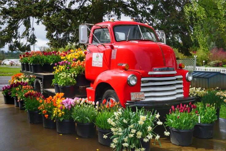 Snapseed - 2019-06-16T013358.508