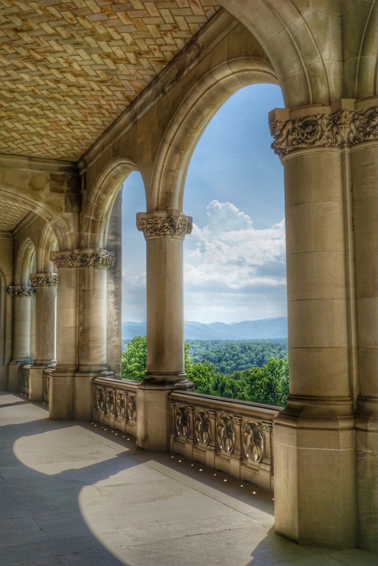 Snapseed - 2019-06-16T014106.784