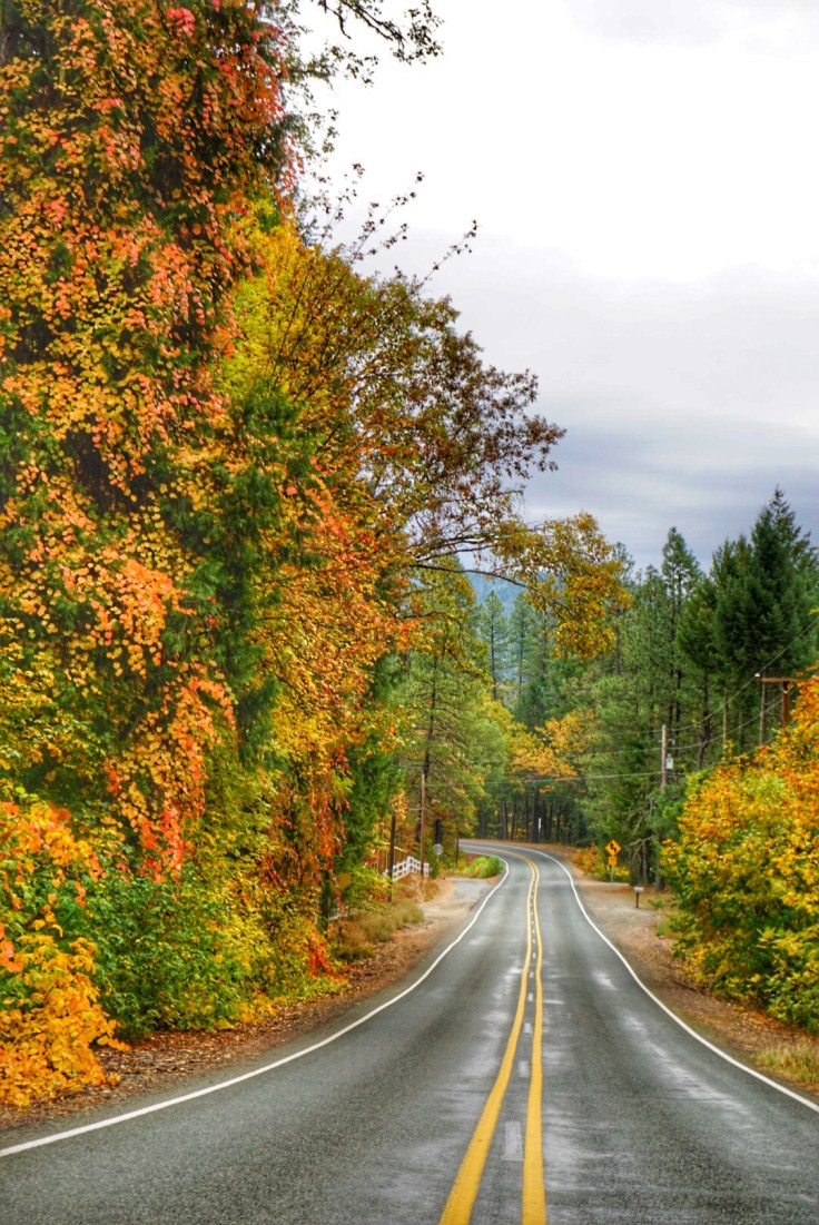 Snapseed - 2019-06-16T014647.016