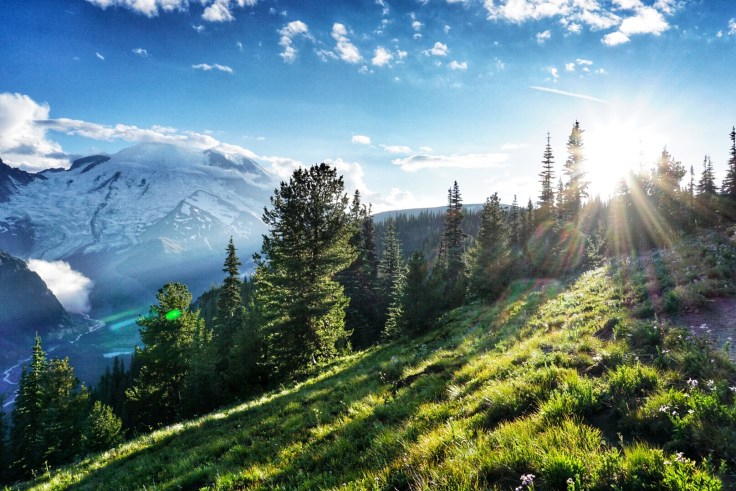 Snapseed - 2019-06-16T020544.666