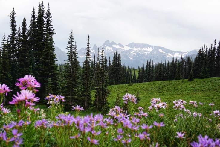 Snapseed - 2019-06-16T020604.683